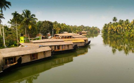 Kerala Munnar Tour: A Scenic Journey Through God’s Own Country