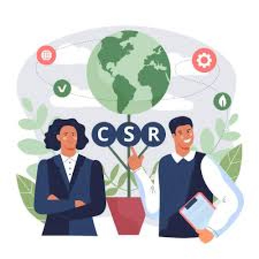 Why Should Your Business Partner with a CSR Consulting Firm?