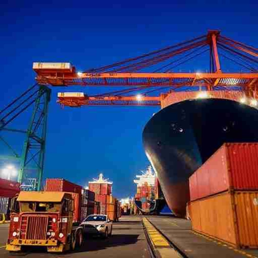 Affordable Sea Freight Companies in Dubai for Timely Deliveries