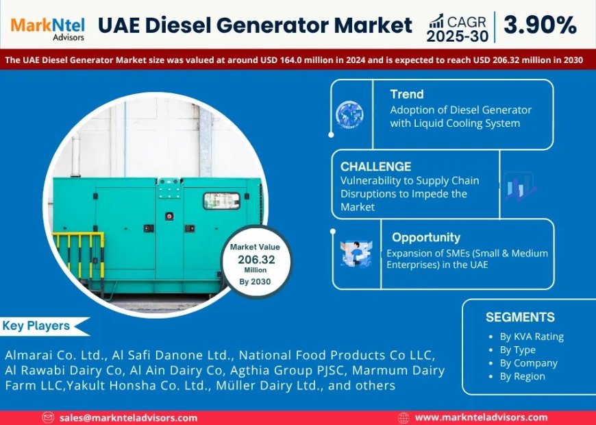 UAE Diesel Generator Poised for 3.90% CAGR Growth Through 2030