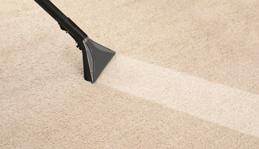 Water Extraction Carpet Cleaning Near Me