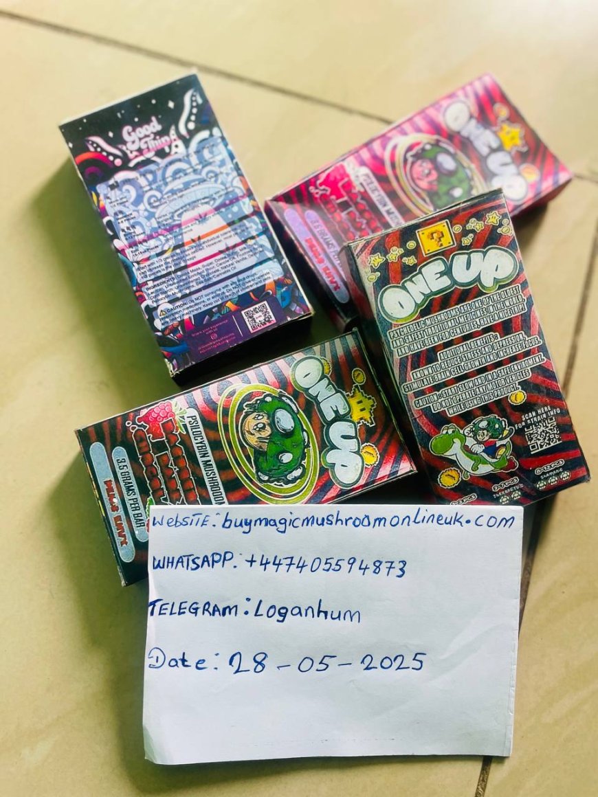 BENEFIT OF MAGIC MUSHROOM CHOCOLATE BAR TO THE UNITED KINGDOM