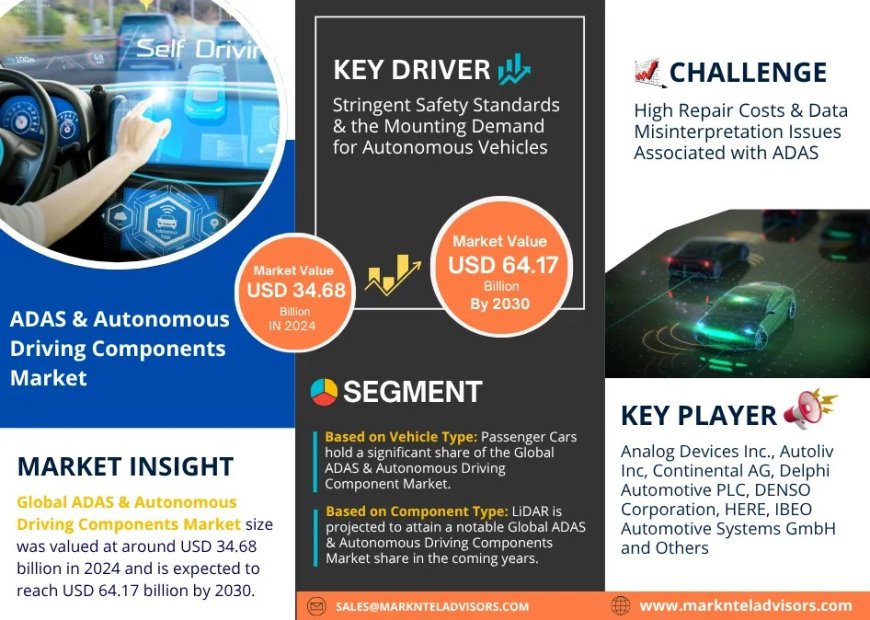 ADAS & Autonomous Driving Components Market Research 2025–2030: Growth, Size & Opportunities