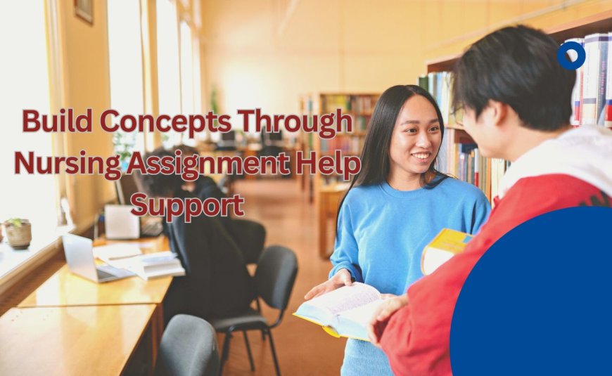 Build Concepts Through Nursing Assignment Help Support