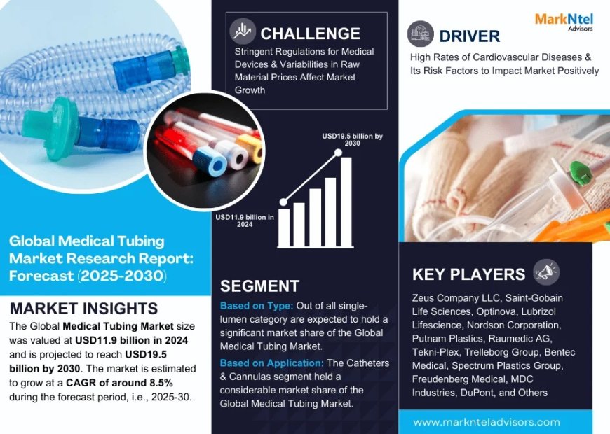 Medical Tubing Market Research 2025–2030: Growth, Size & Opportunities