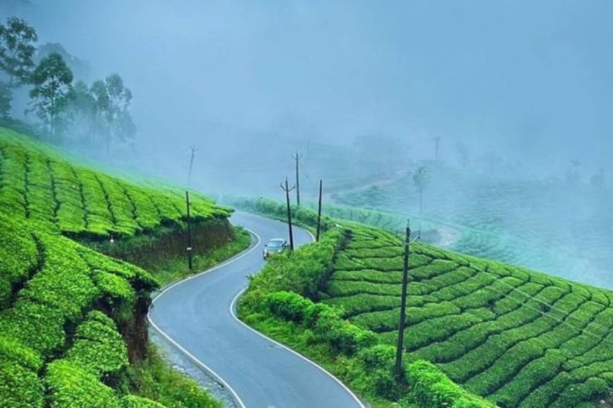 From Cochin to Clouds: Plan Your Perfect Munnar Package