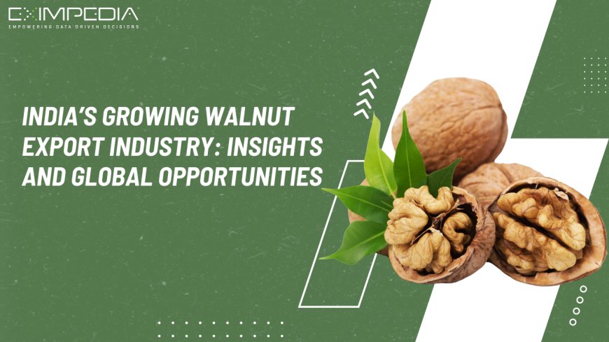 India’s Growing Walnut Export Industry: Insights and Global Opportunities
