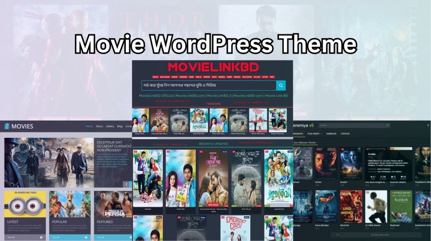 Is This The Best Filmmaker WordPress Theme Right for You?