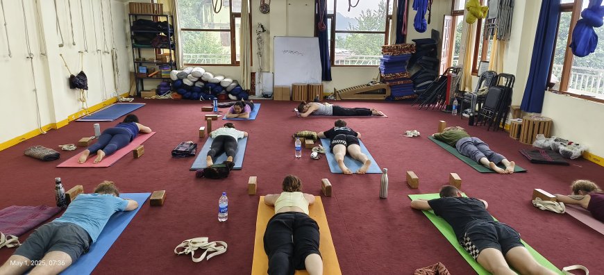 Discover the Best Yin Yoga Teacher Training in India with MahiYoga