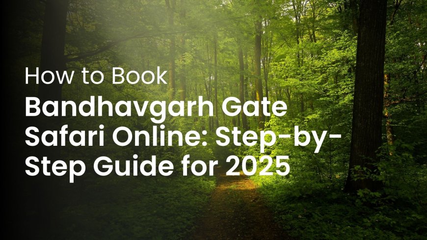 How to Book Bandhavgarh Gate Safari Online: Step-by-Step Guide for 2025