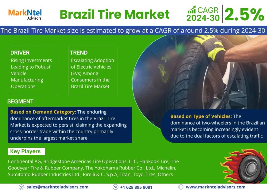 Brazil Tire Market Research 2024–2030: Growth, Size & Opportunities