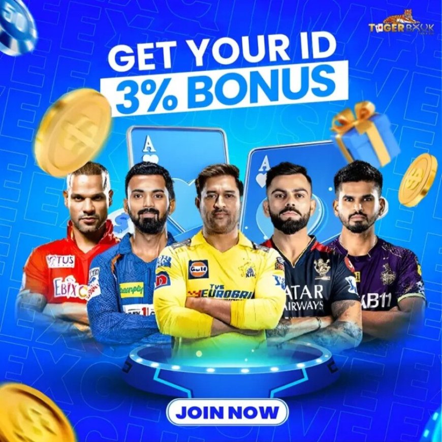 Online Cricket ID Provider – Everything you need to know before getting started