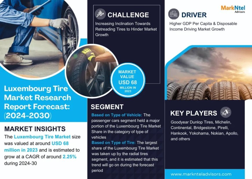 Luxembourg Tire Market Research 2024–2030: Growth, Size & Opportunities