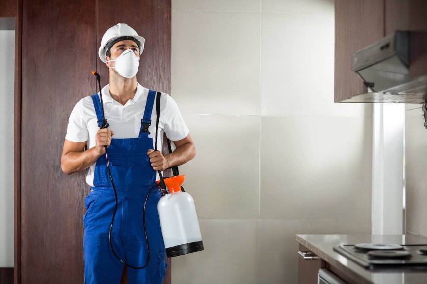 Brampton’s Battle Against Pests: A Deep Dive Into Modern Pest Control Solutions
