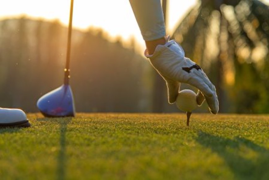 Greenfeemedlemskap Stockholm – Så blir du medlem och spelar mer golf till bättre pris