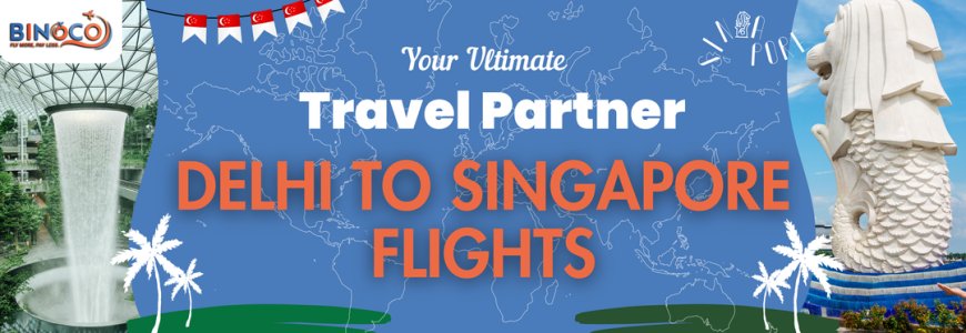 Delhi to Singapore flight