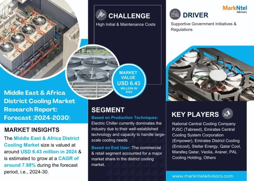 Middle East & Africa District Cooling Market Research 2024–2030: Growth, Size & Opportunities