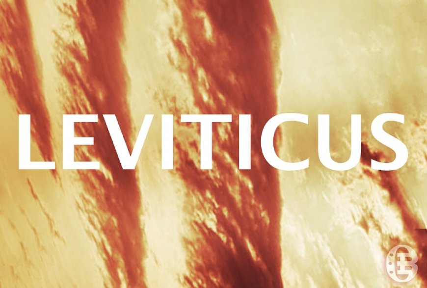 What Are the 5 Offerings in the Book of Leviticus