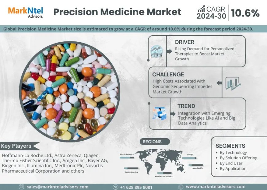 Precision Medicine Market Research 2024–2030: Growth, Size & Opportunities