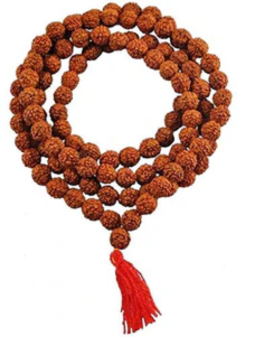 Shravan Special – Why Wearing Rudraksha Deepens Your Spiritual Journey