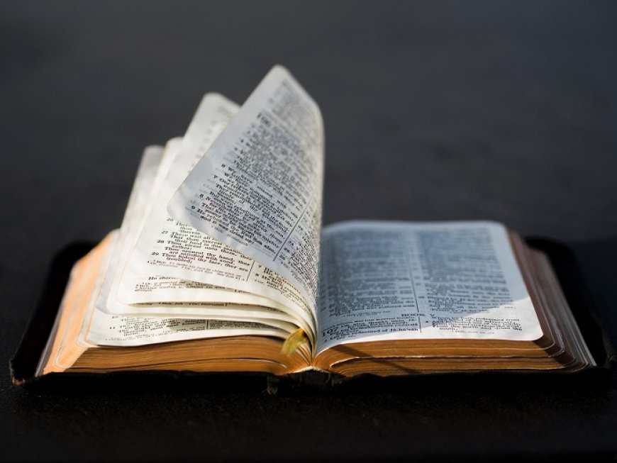 Does Jesus Say the Old Testament Is True?