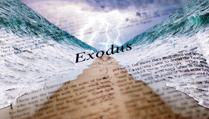 What Is the Basic Story of Exodus?