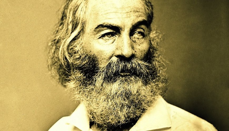 30 Walt Whitman Poems About Praise You May Be Interested In