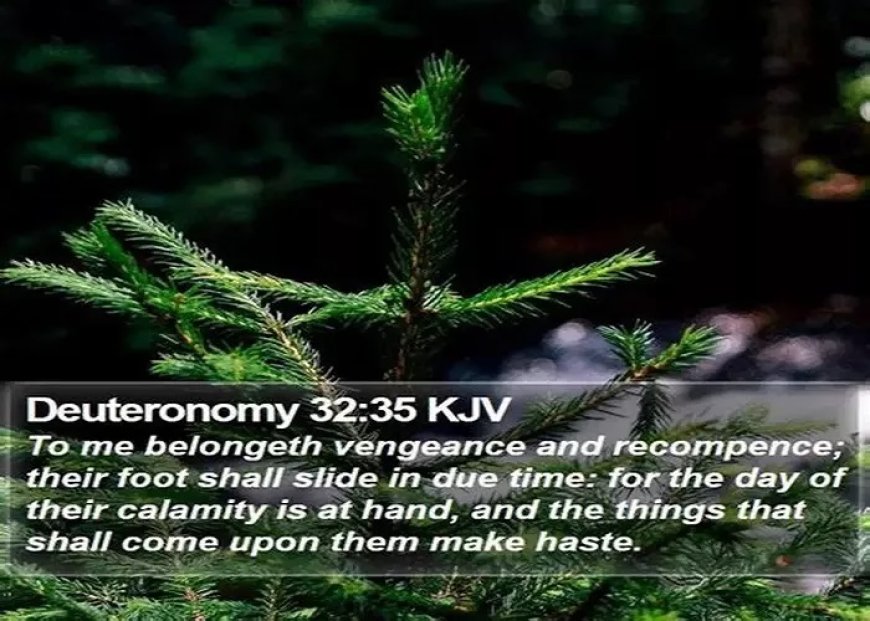 Deuteronomy 32:35 Meaning, Context & Commentary