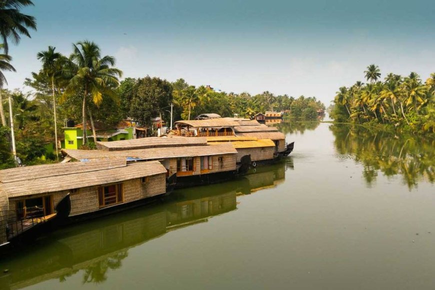 Kerala Munnar Tour: A Scenic Journey Through God’s Own Country